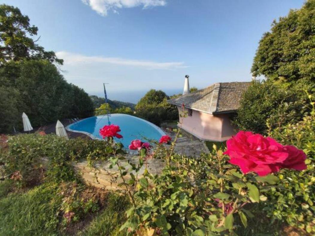 Tsagkarada Country Estate With Pool 빌라 외부 사진
