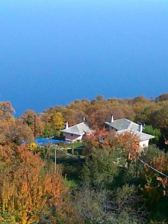 Tsagkarada Country Estate With Pool 빌라 외부 사진