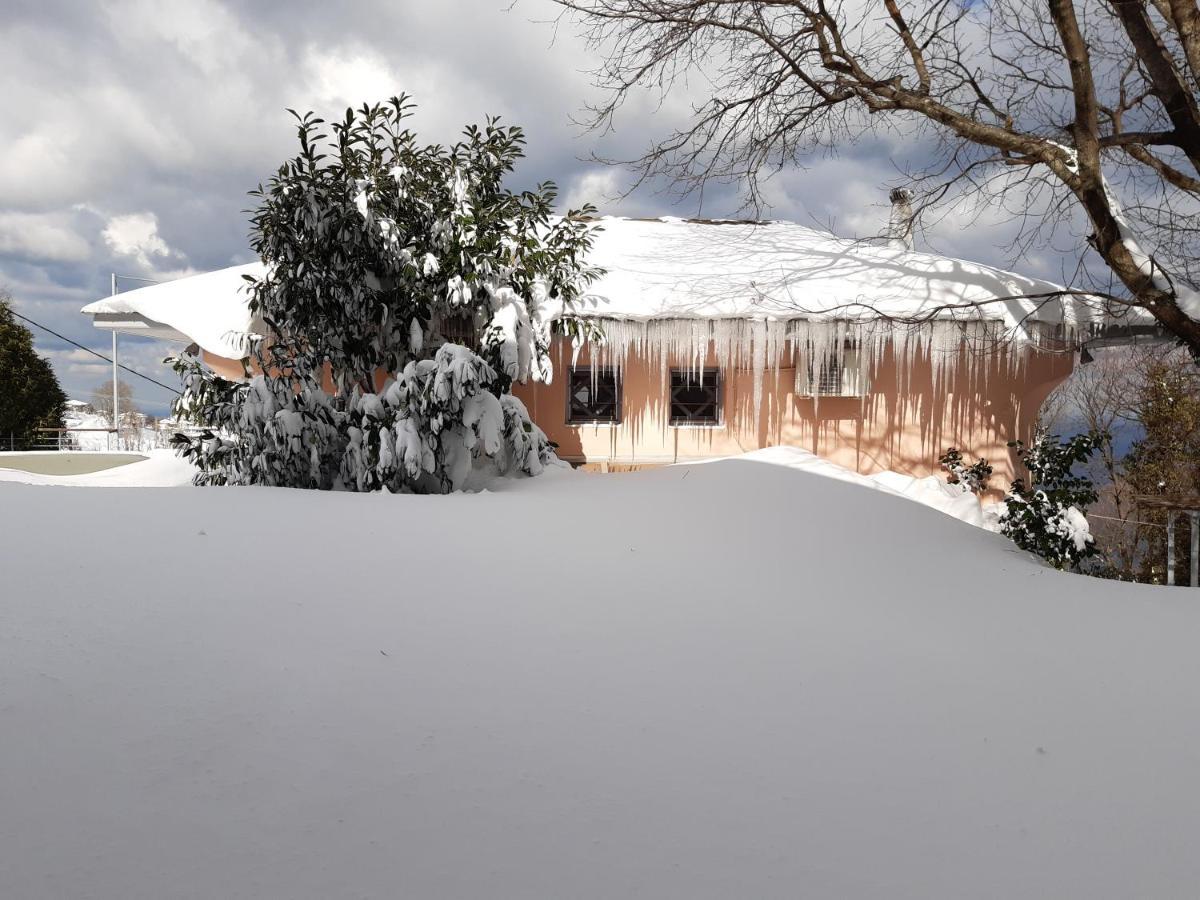 Tsagkarada Country Estate With Pool 빌라 외부 사진