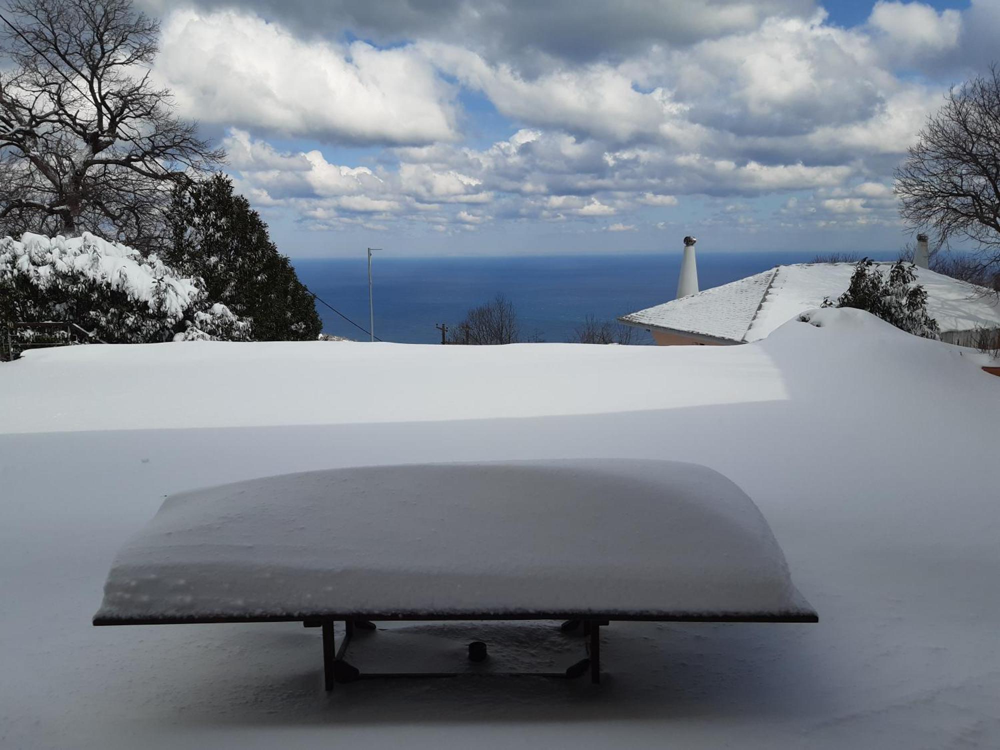 Tsagkarada Country Estate With Pool 빌라 객실 사진